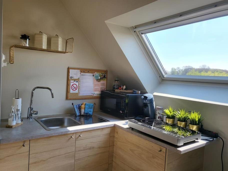 Appartement Want Logies: Ruime Loft à Damme Extérieur photo